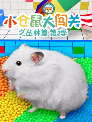 手机在线新版入口不卡