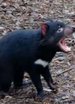 手机看片AV在线中文字幕